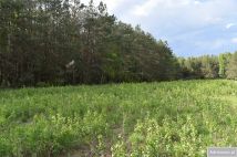 Działka rolna Pstrągi-Gniewoty