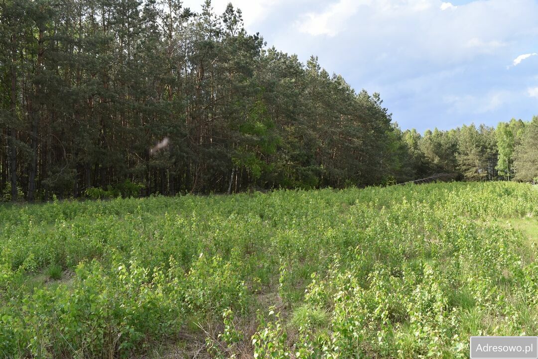 Działka rolna Pstrągi-Gniewoty