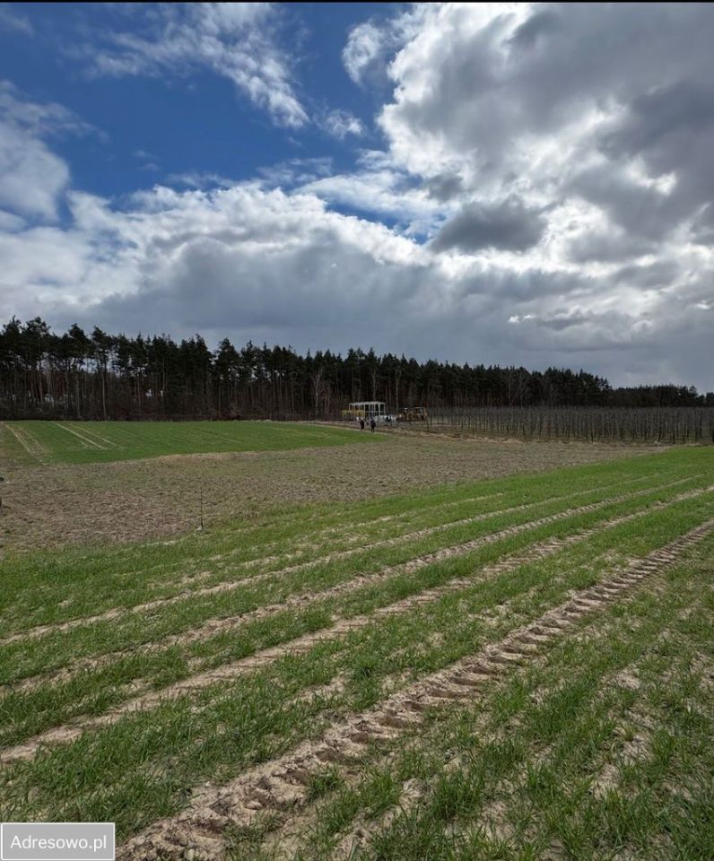 Działka budowlana Szczutki. Zdjęcie 1