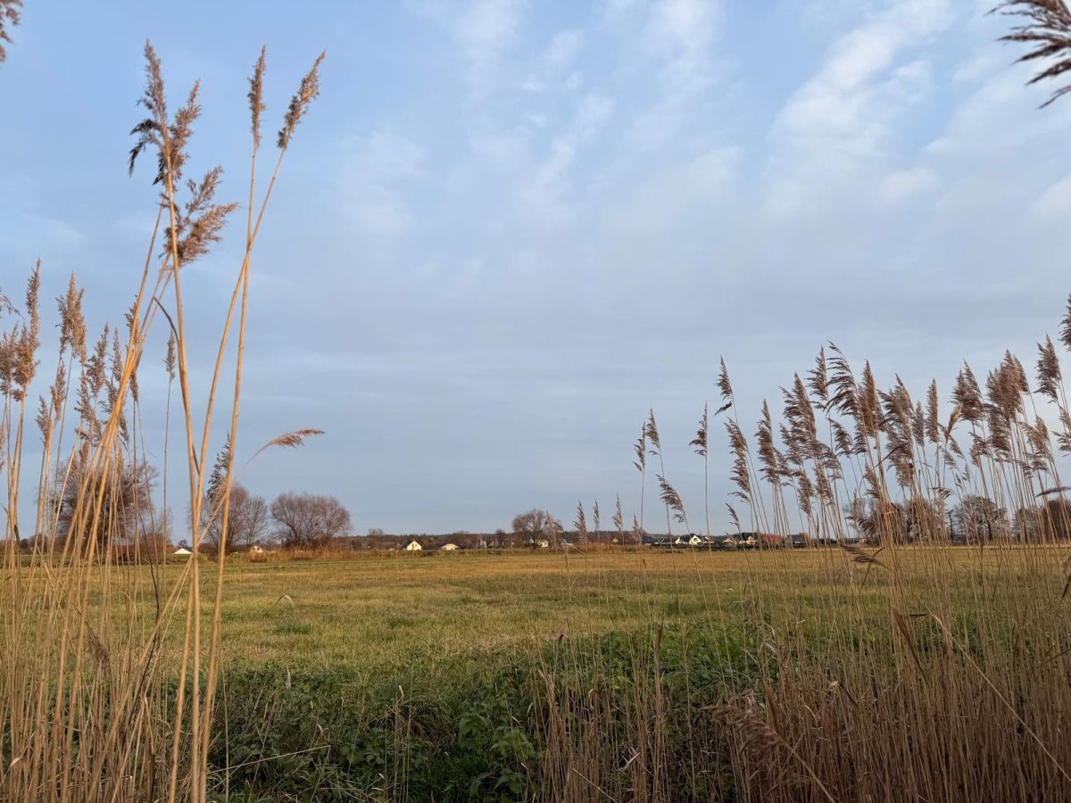 Działka rolna Oleśniczka. Zdjęcie 15