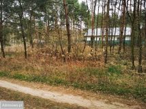 Działka budowlana Rożno-Parcele. Zdjęcie 3