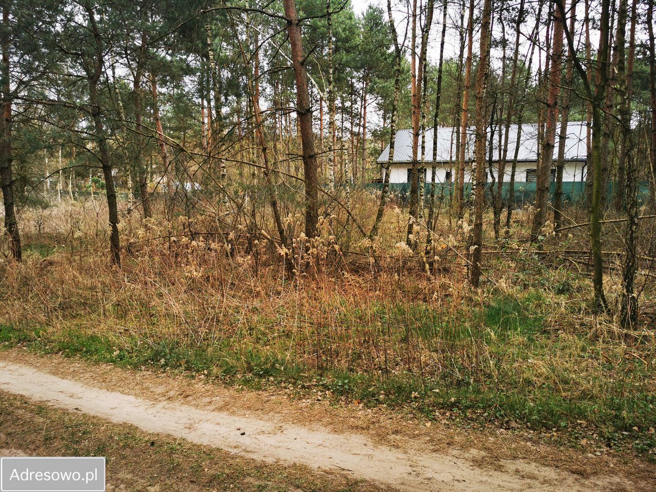 Działka budowlana Rożno-Parcele. Zdjęcie 4