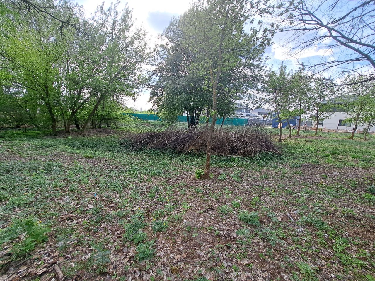 Działka budowlana Michałów-Reginów. Zdjęcie 4