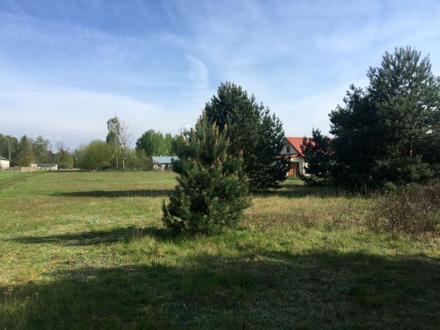 Działka rolno-budowlana Nowy Kozłów Drugi. Zdjęcie 2