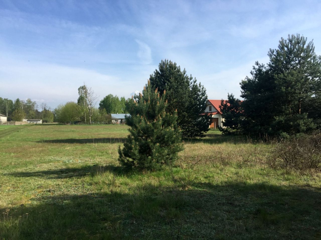 Działka rolno-budowlana Nowy Kozłów Drugi. Zdjęcie 2