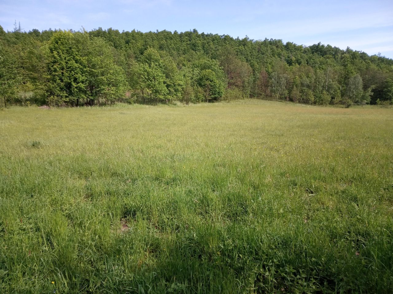 dom wolnostojący Mikołajów. Zdjęcie 10