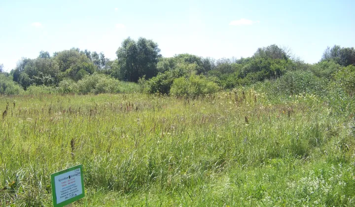 Działka rolna Brzuza