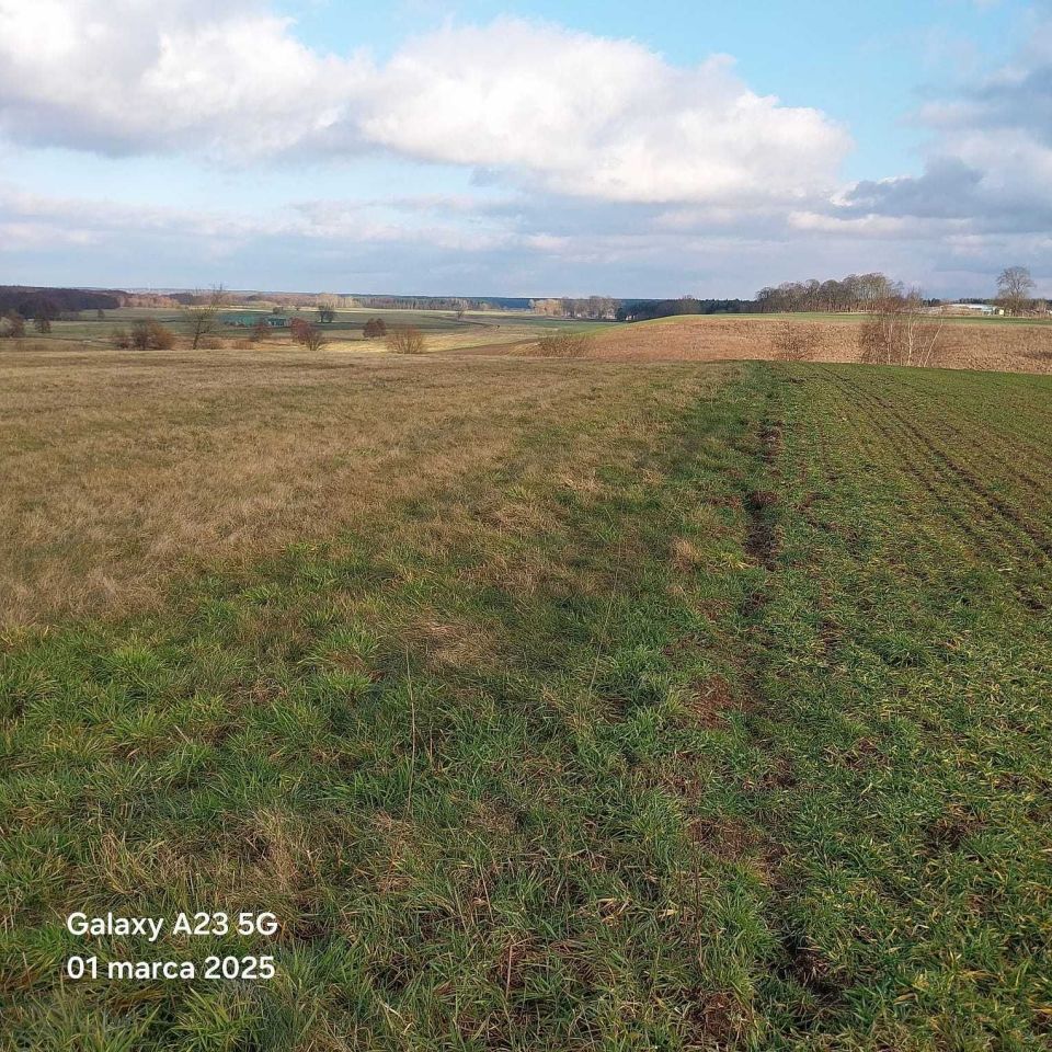 Działka budowlana Lemierzyce. Zdjęcie 6