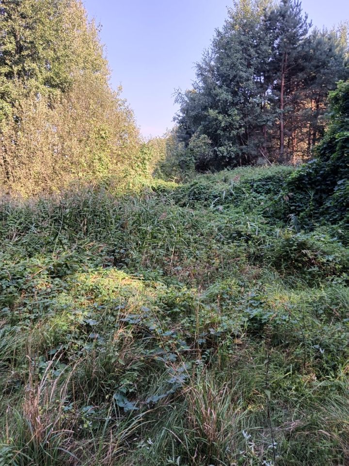 Działka rekreacyjna Bachury. Zdjęcie 9