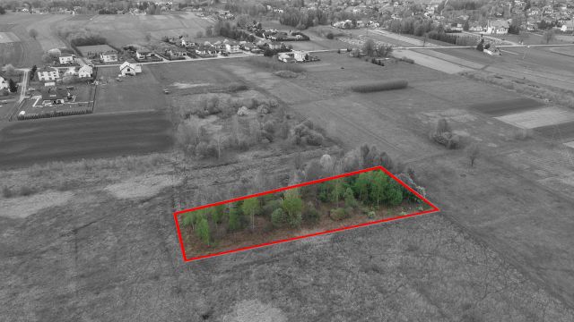 Działka rolno-budowlana Wójtowa. Zdjęcie 1
