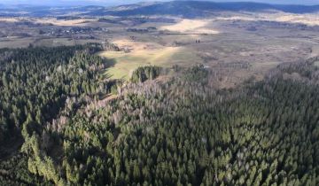 Działka rolna Czarna