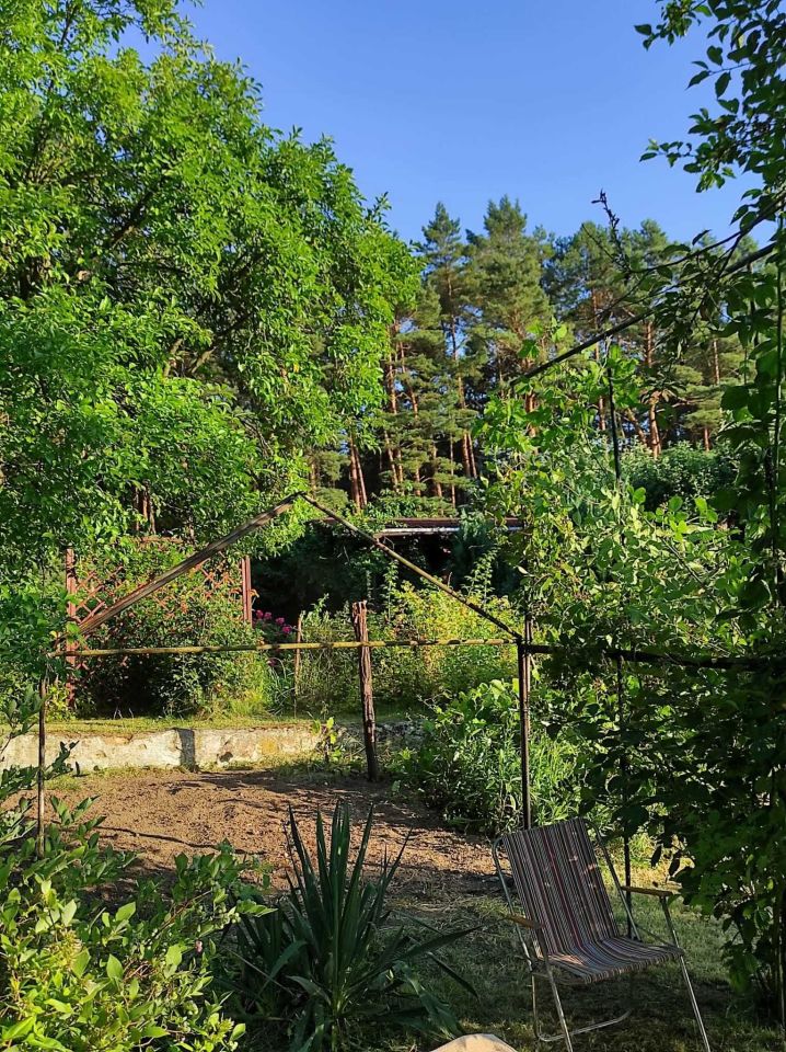 Działka rod Wilkanowo. Zdjęcie 6