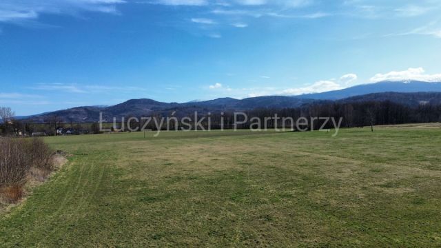 Działka siedliskowa Podgórzyn. Zdjęcie 4