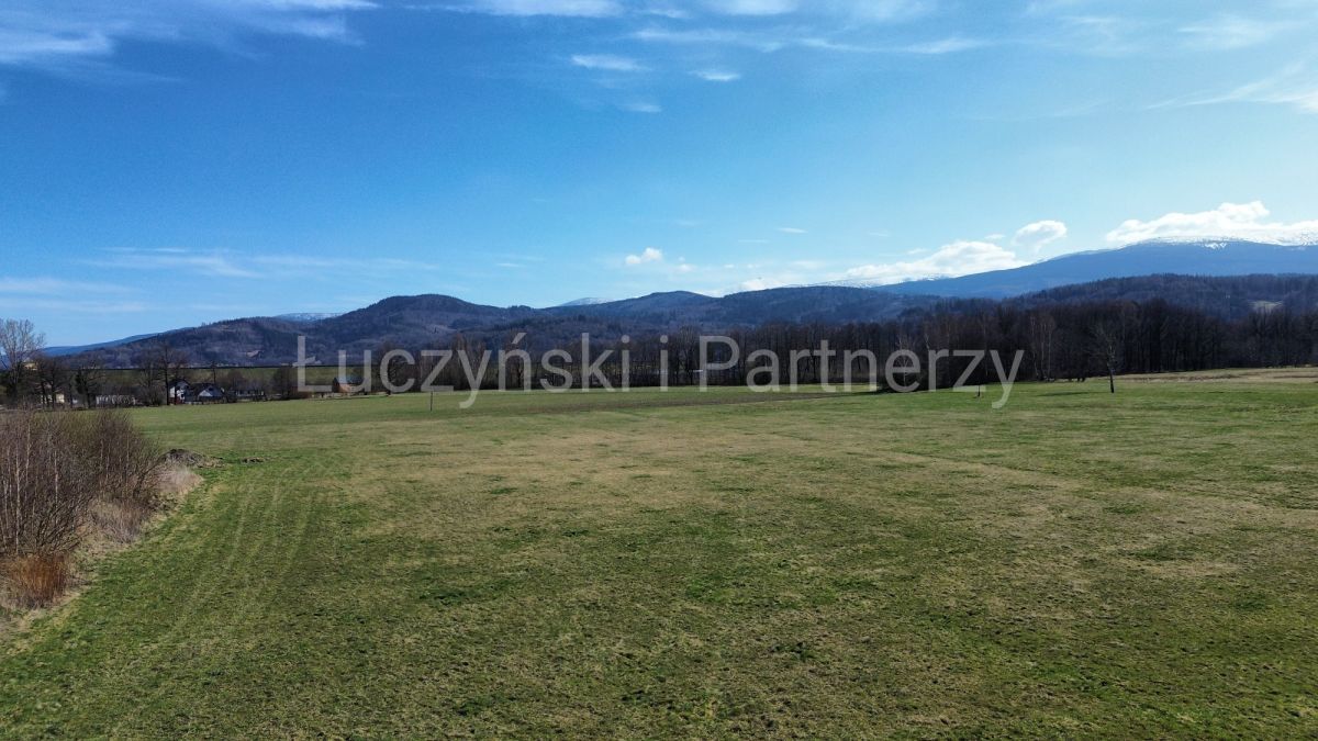 Działka siedliskowa Podgórzyn. Zdjęcie 4