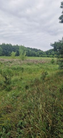 Działka inwestycyjna Wągrowiec. Zdjęcie 6