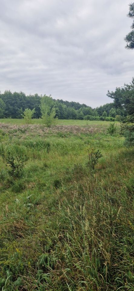 Działka inwestycyjna Wągrowiec. Zdjęcie 6