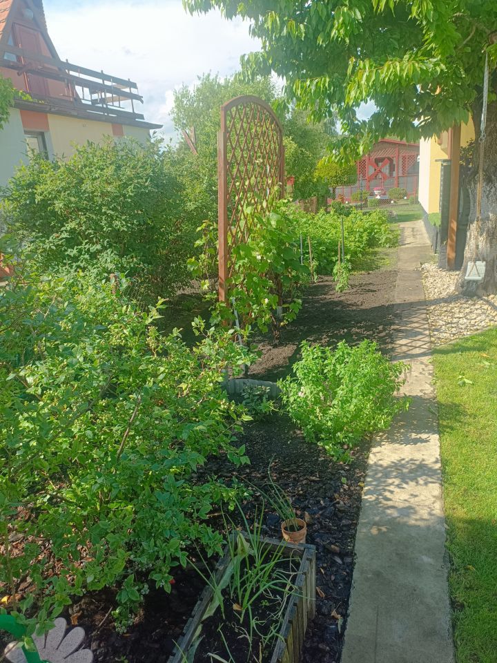 Działka rekreacyjna Bydgoszcz Prądy, ul. Lisia. Zdjęcie 16