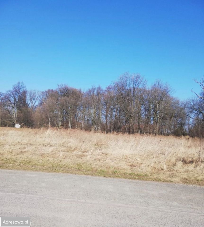 Działka budowlana Wiadrów. Zdjęcie 5