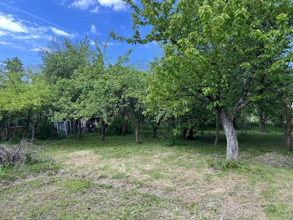 Działka rod Bogatynia. Zdjęcie 5