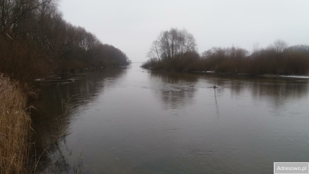 Działka rolna Tomisławice. Zdjęcie 6