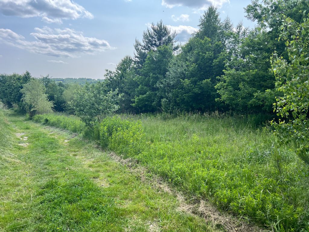 Działka rolno-budowlana Harta. Zdjęcie 10
