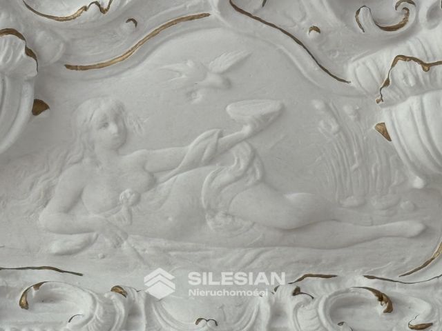 Mieszkanie 8-pokojowe Świdnica Centrum, ul. Stefana Żeromskiego. Zdjęcie 11