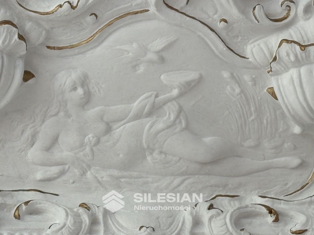 Mieszkanie 8-pokojowe Świdnica Centrum, ul. Stefana Żeromskiego. Zdjęcie 11