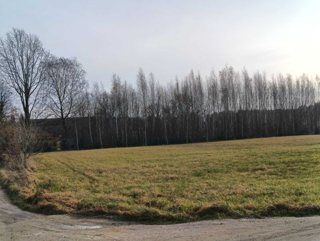 Działka budowlana Kowalewo, ul. Kartuska. Zdjęcie 1