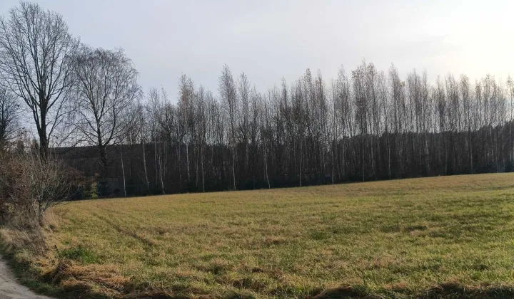 Działka budowlana Kowalewo, ul. Kartuska