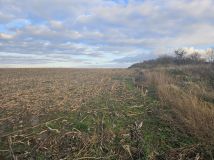 Działka rolna Snowidza. Zdjęcie 1