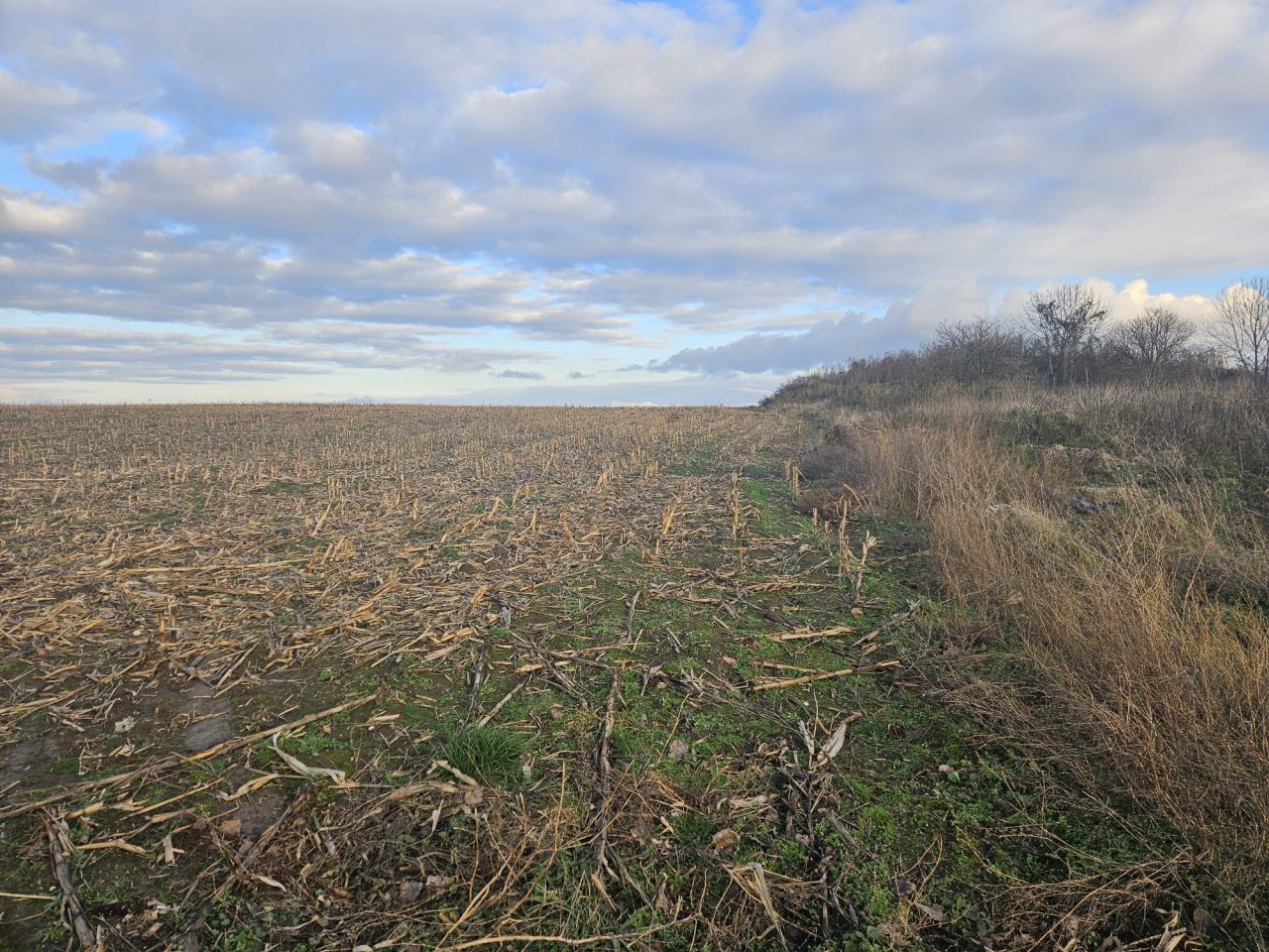 Działka rolna Snowidza. Zdjęcie 2