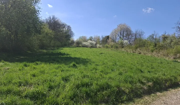 Działka rolno-budowlana Przemyśl Kruhel Wielki, Łowiecka /Leszczynowa