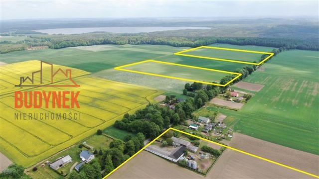 Działka rolna Janiewice. Zdjęcie 11