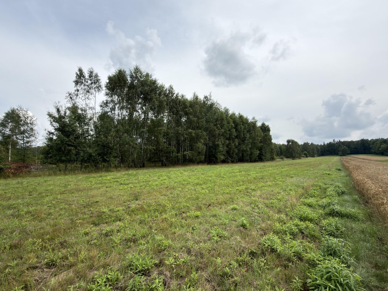Działka budowlana Węgrzynów, pogodna. Zdjęcie 8