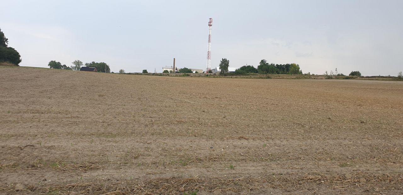 Działka rolna Międzybórz, ul. Kolejowa. Zdjęcie 3