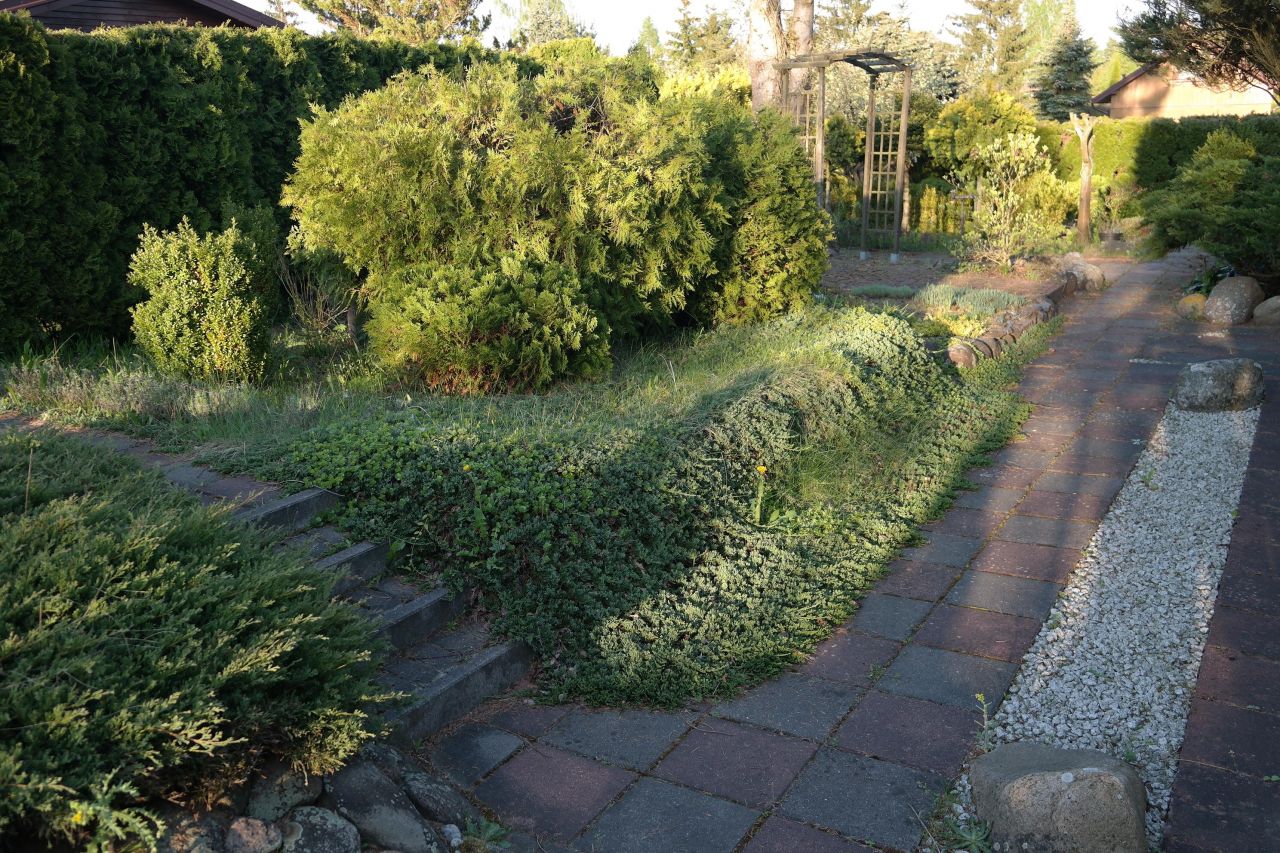 Działka rod Niewodnica Kościelna, ul. Działkowców. Zdjęcie 9