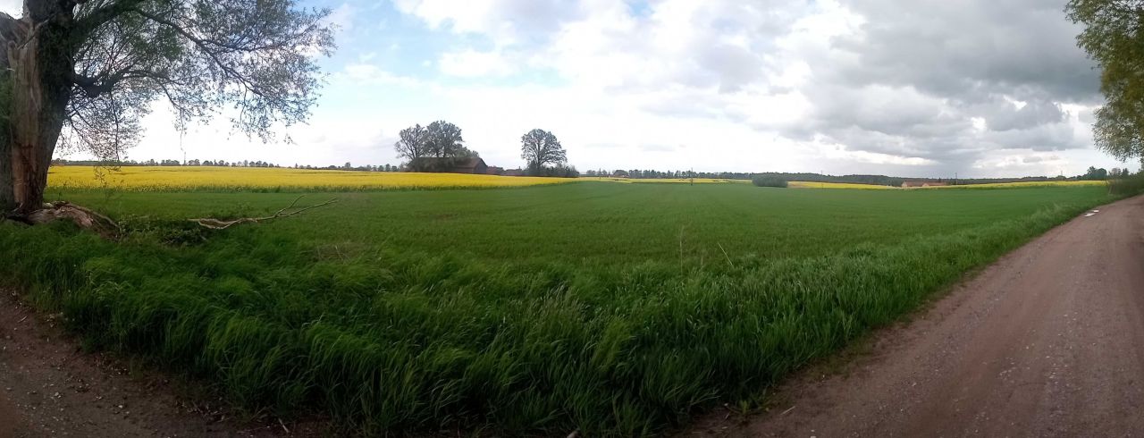 Działka rolno-budowlana Łędławki. Zdjęcie 3