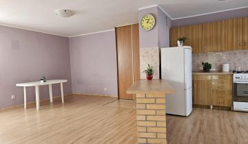 Działka rod Gorzkie Pole, ul. Starych Wierzb