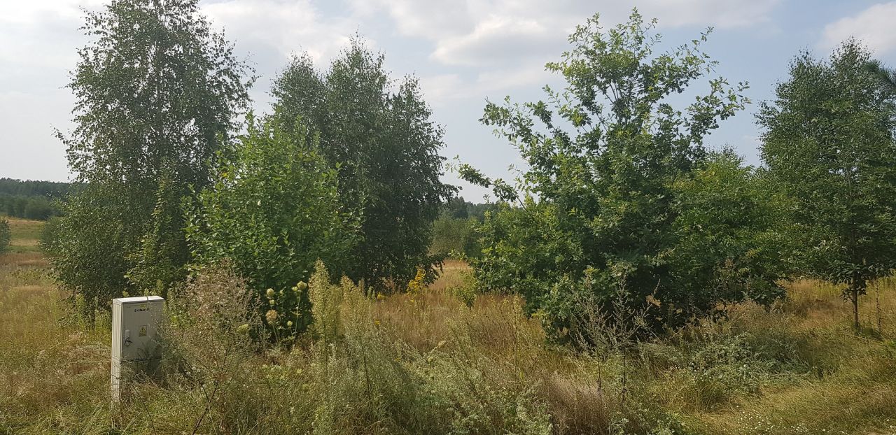 Działka rolno-budowlana Gąsawy Plebańskie. Zdjęcie 2