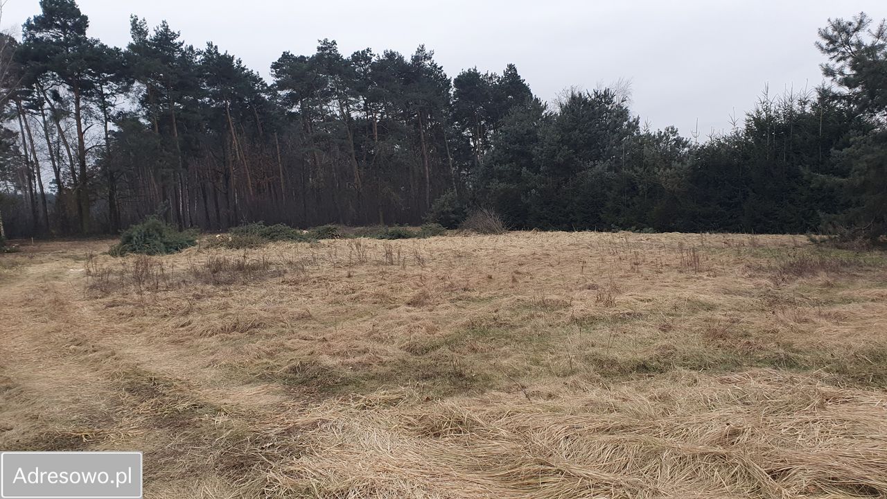 Działka budowlana Topola Wielka, ul. Długa. Zdjęcie 2