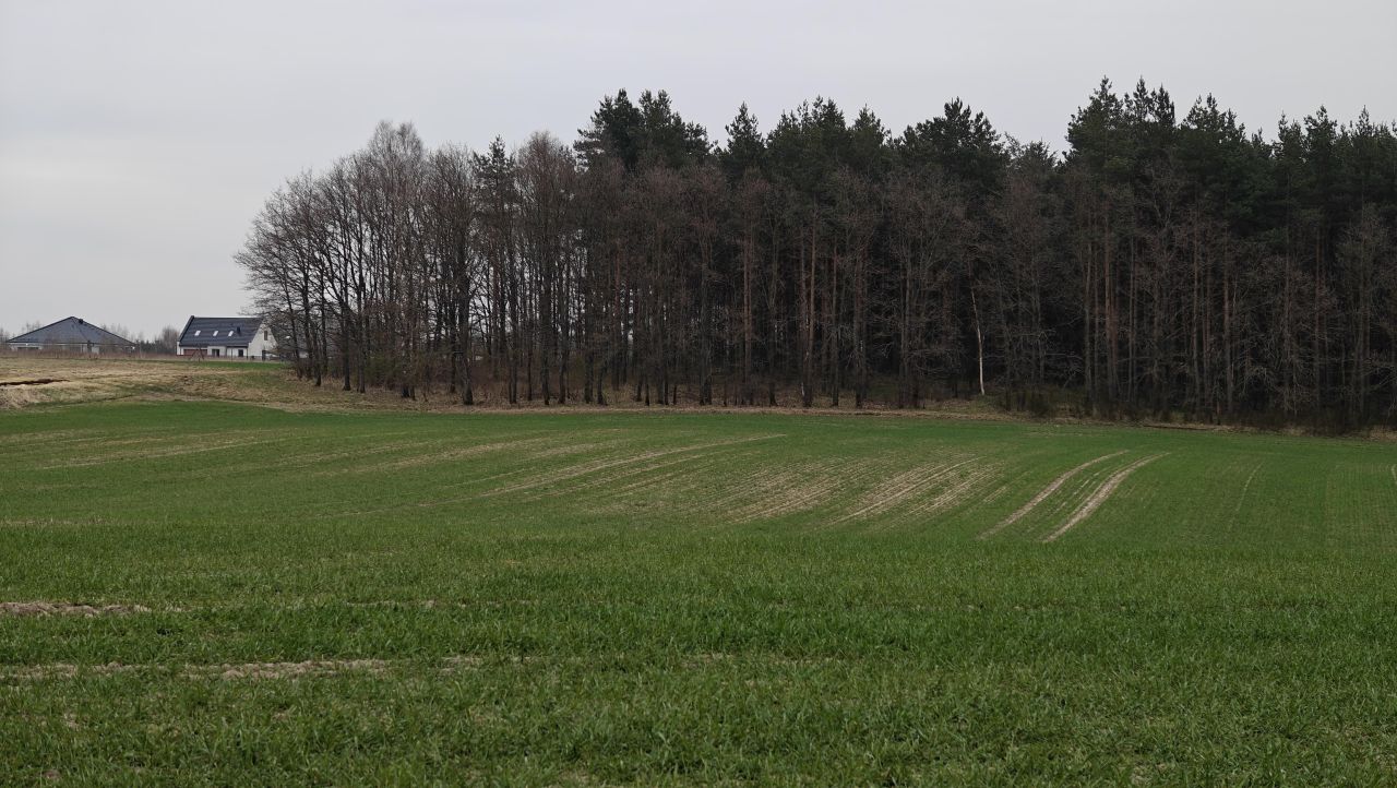 Działka budowlana Bolesławiec. Zdjęcie 4