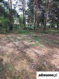 Działka rod Toruń Glinki, ul. Poznańska. Zdjęcie 1