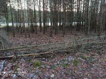 Działka rolna Bocheniec. Zdjęcie 3