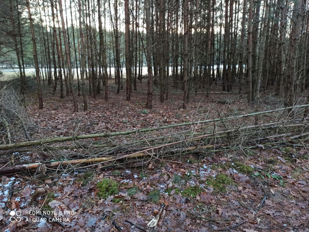 Działka rolna Bocheniec. Zdjęcie 4