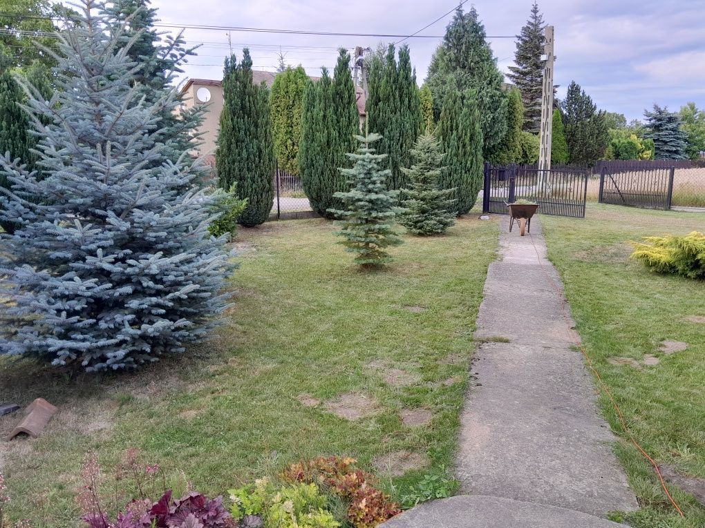 dom wolnostojący Rzeczyca. Zdjęcie 4