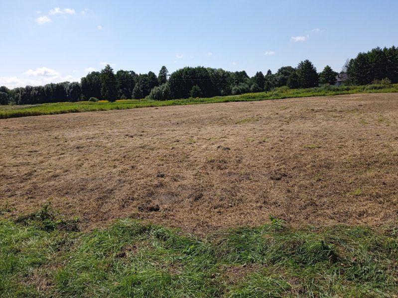 Działka budowlana Basznia Dolna Basznia. Zdjęcie 2