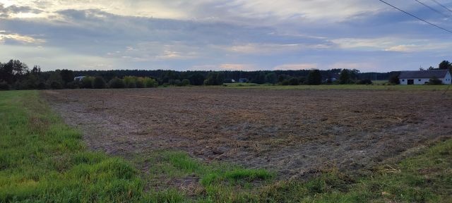 Działka rolno-budowlana Niegowiec. Zdjęcie 1