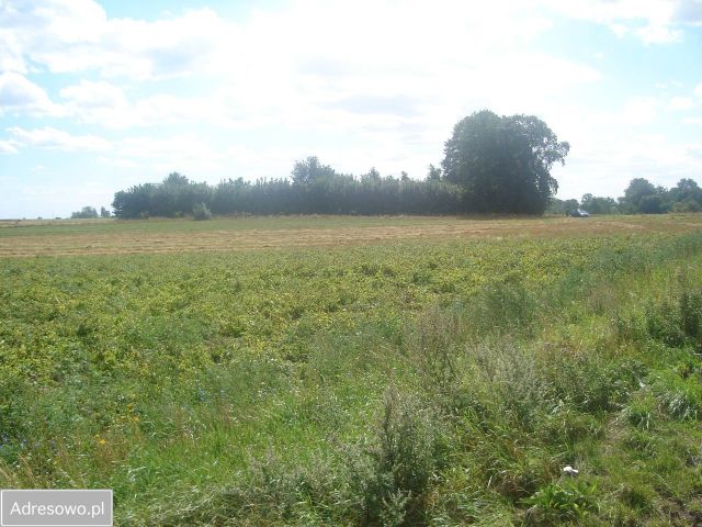Działka rolna Stojkowo. Zdjęcie 1