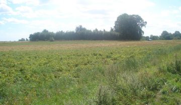 Działka rolna Stojkowo