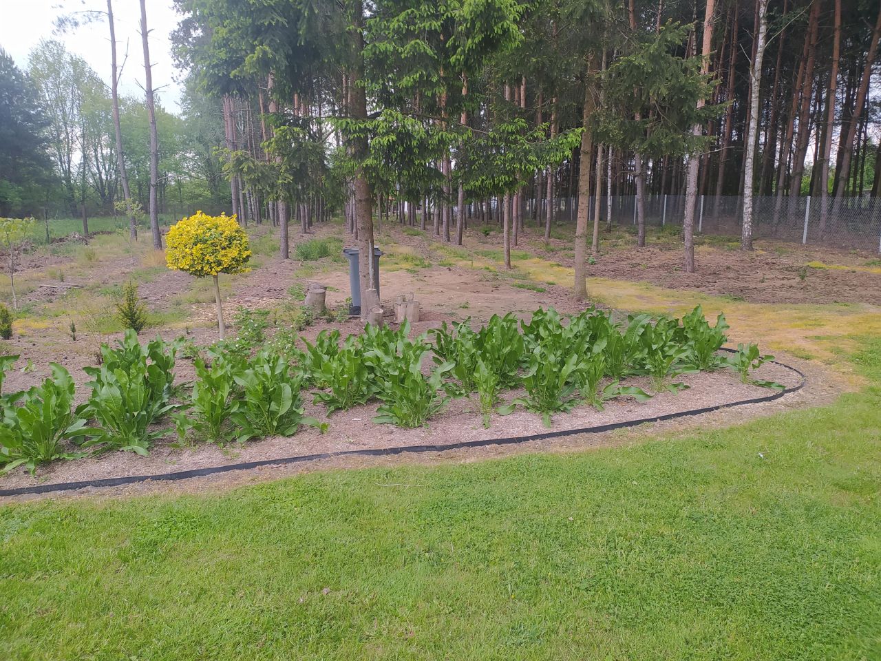 Działka budowlana Radomsko Stobiecko Miejskie, ul. Kukuczki. Zdjęcie 2